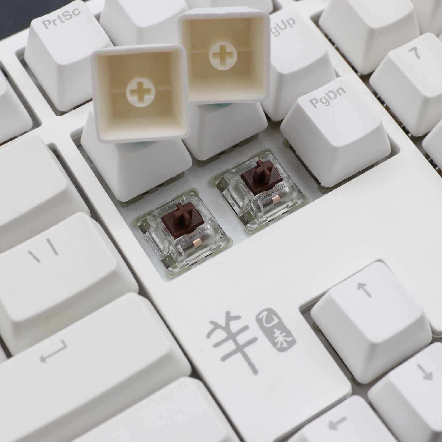 2015 羊年生肖限定版鍵盤